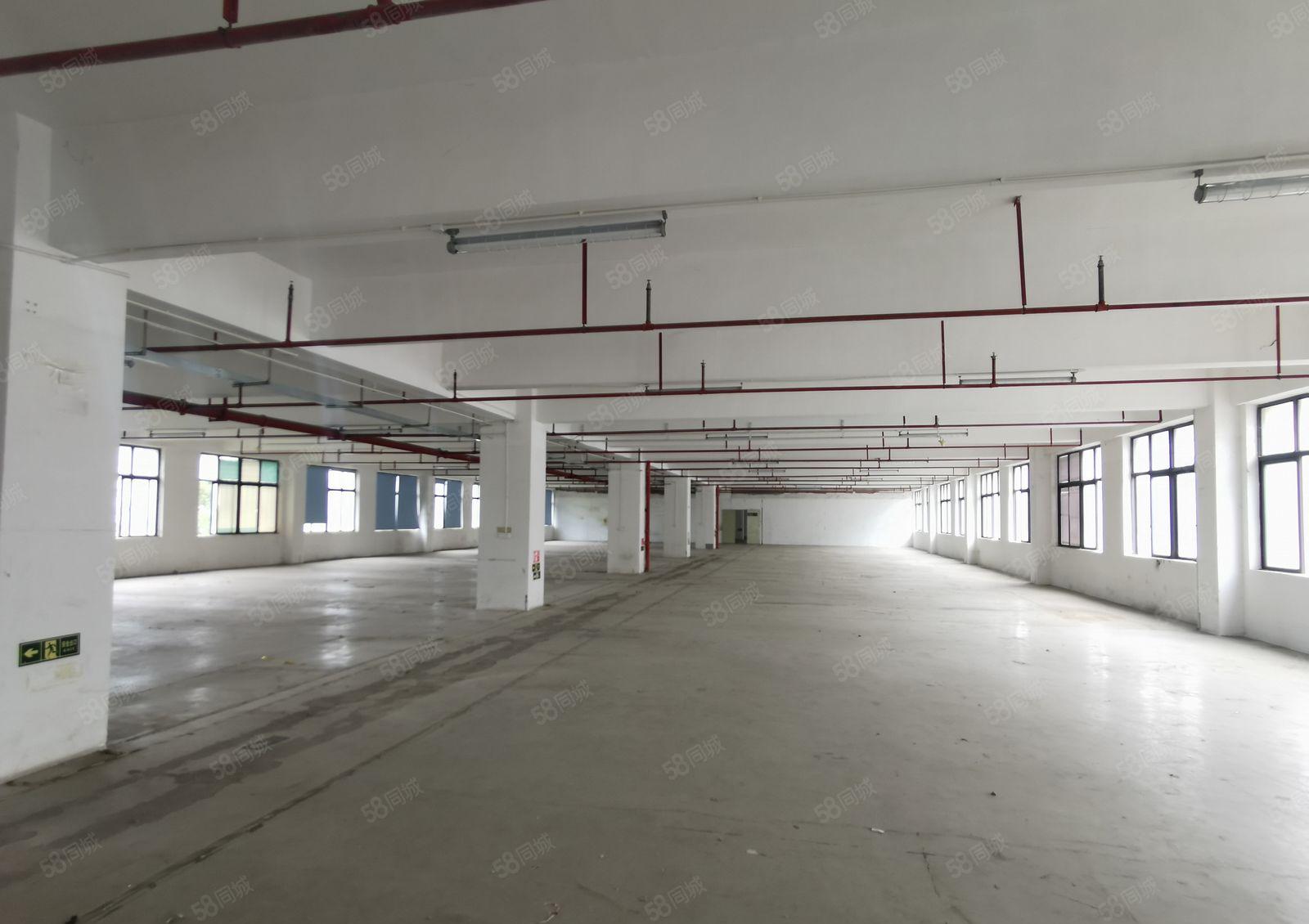 横岗高速路口永湖地铁站边空出原房东厂房一楼1300平方