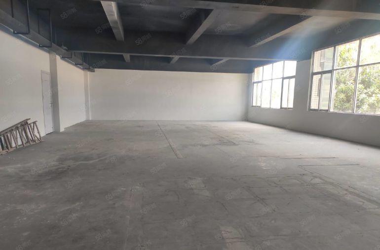 南头同乐园区  80平至450平  层高5米 场地