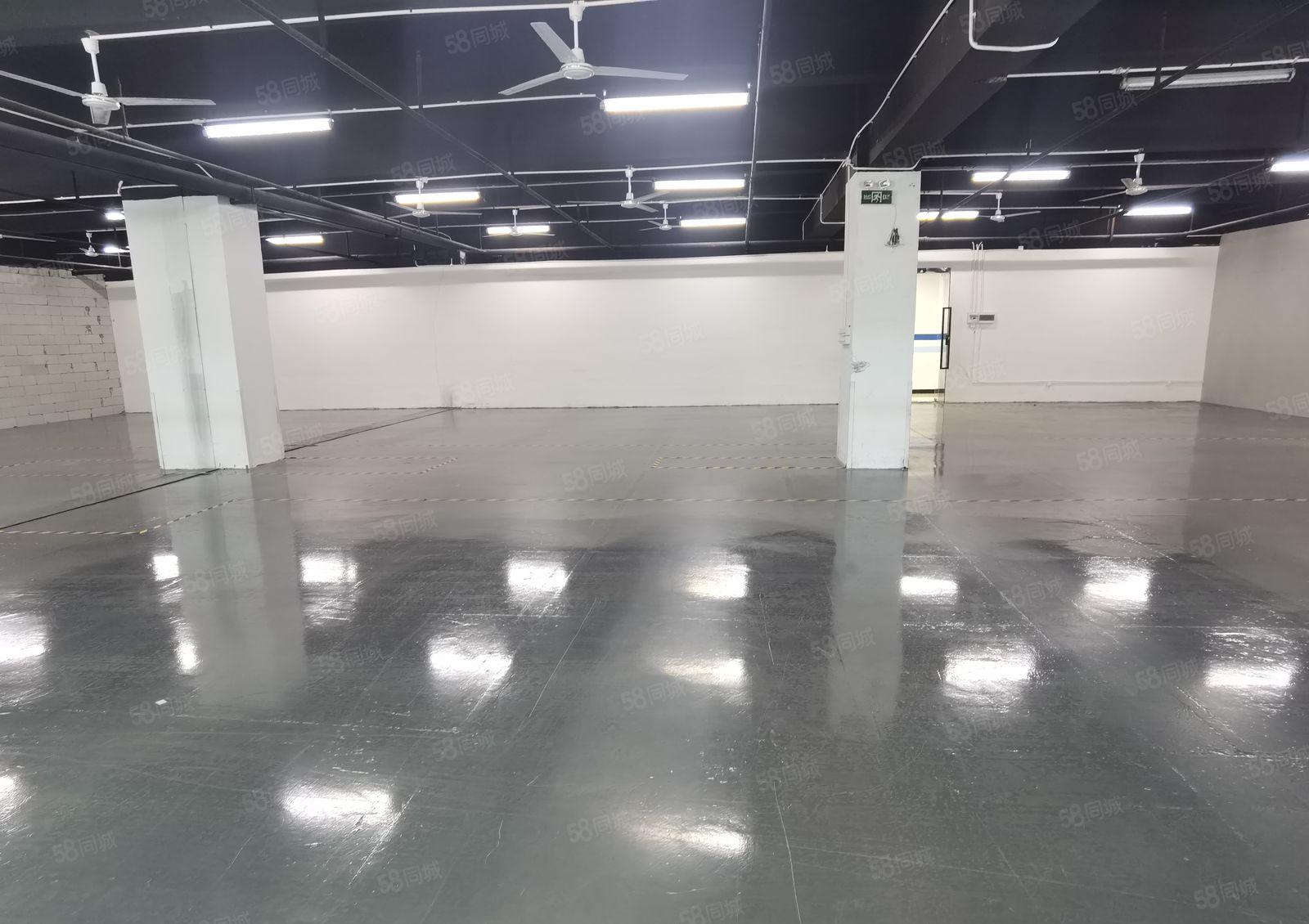 南山松白路主干道边新出带装修845平厂房