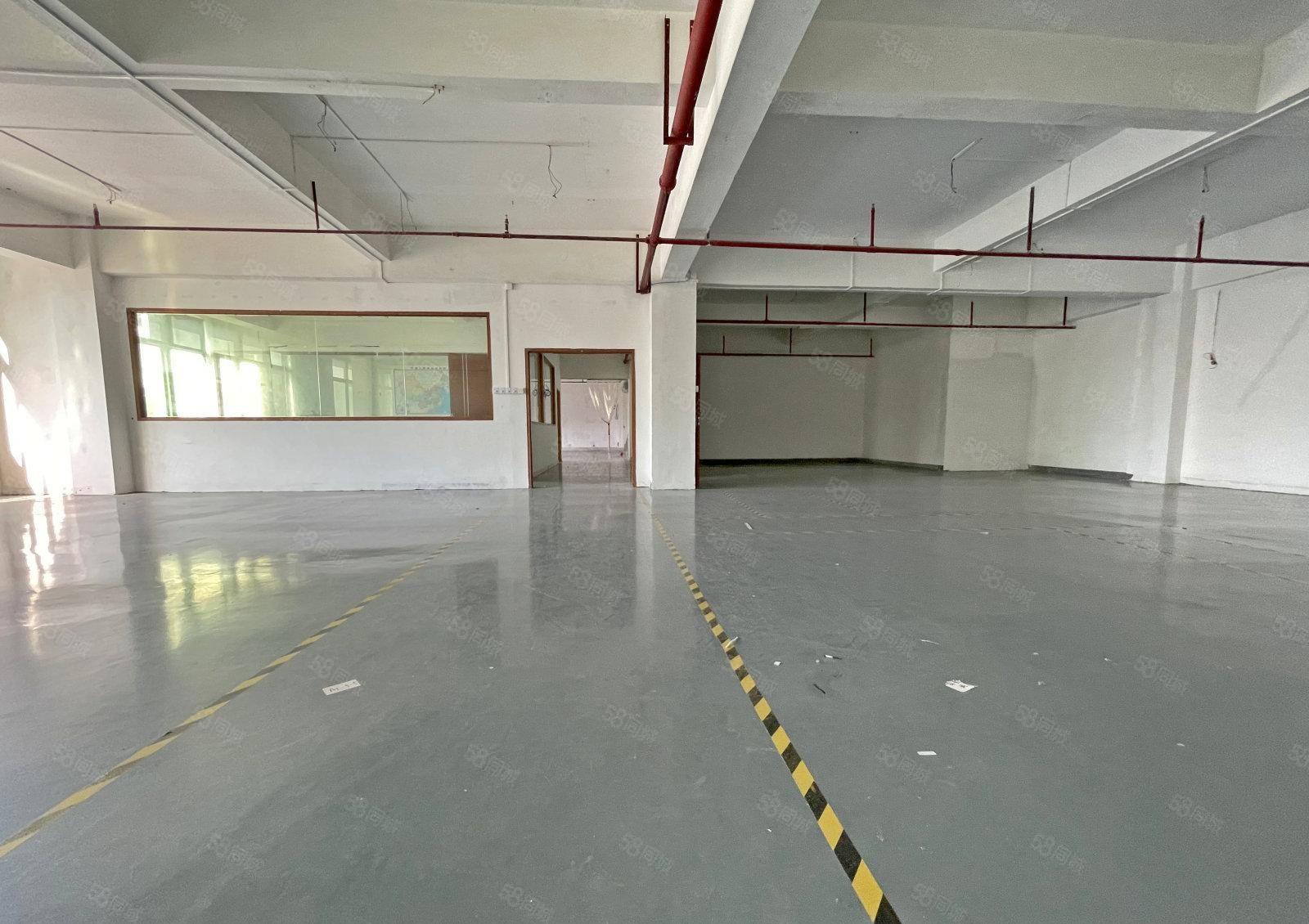 一手直租西丽龙珠大道原房东厂房整层1100平精装 地铁口