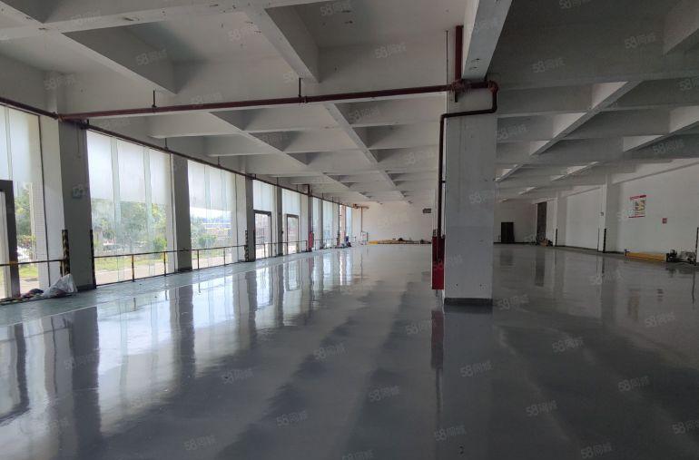 南山西丽，新出整栋原房东整层5000平方，高度6米