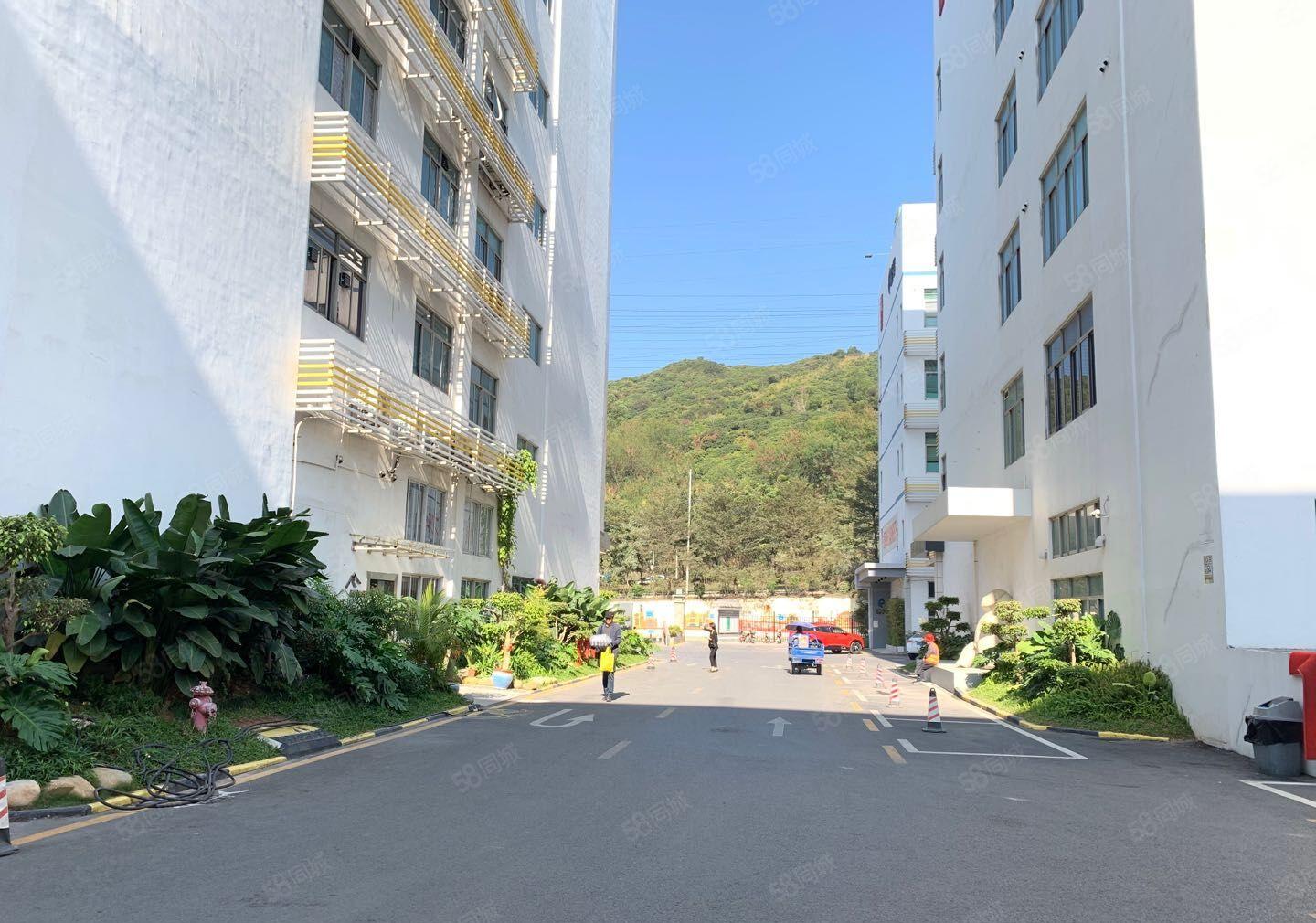 南山西丽文化园300，800平精装修装修，一房东直租