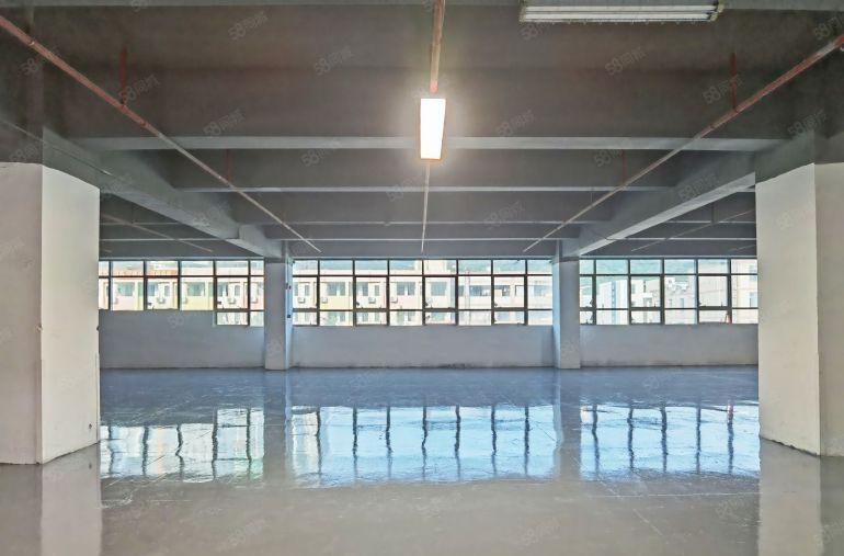 特价26元，西丽13号线地铁站 6000平厂房分租145平起