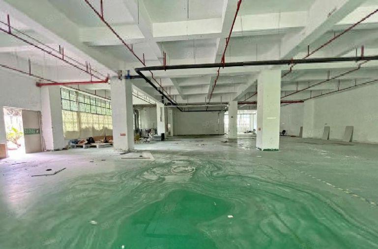 南山西丽大学城一楼1160平可分租开门  行业不限低价厂房