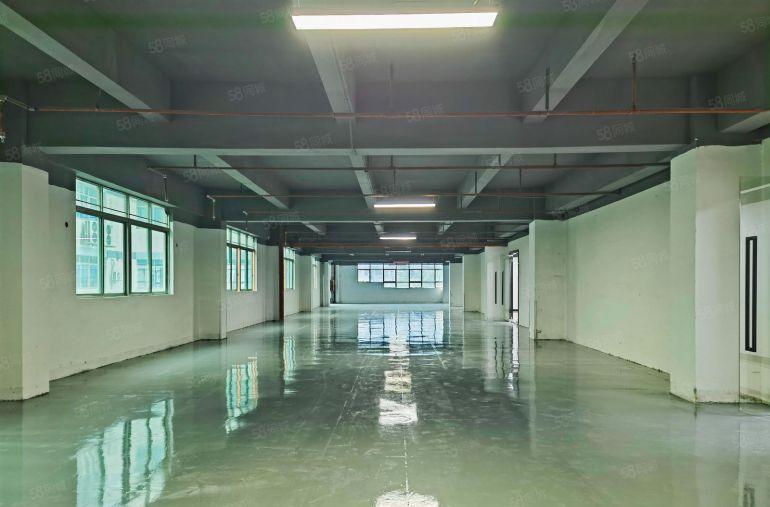 南山西丽特价19元 整栋厂房分租150~8000平带装修