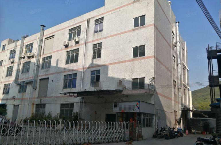 南山  西丽  独门独院招租 整栋四层面积4800平