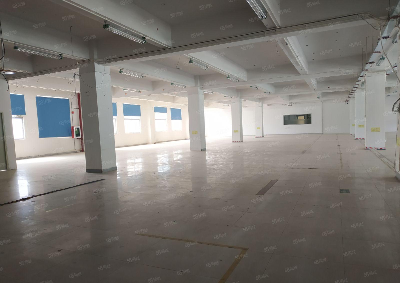 一楼1700平整层厂房仓库 西丽阳光工业区南北通650平起租