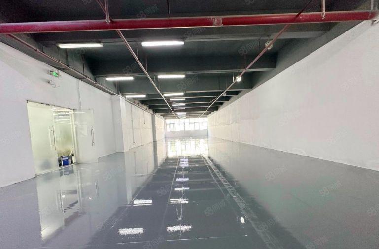 南山西丽城地铁口产业园600平，适合摄影，电商，运动