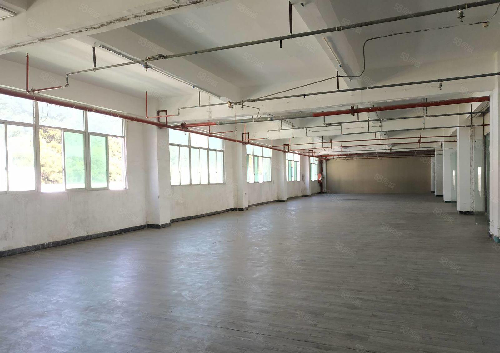 兴东地铁口 精装200平至1000平办公厂房仓储直租 按需选