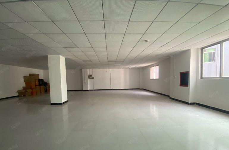 南山西丽地铁站289，350平带装修电商，组装，生产均可