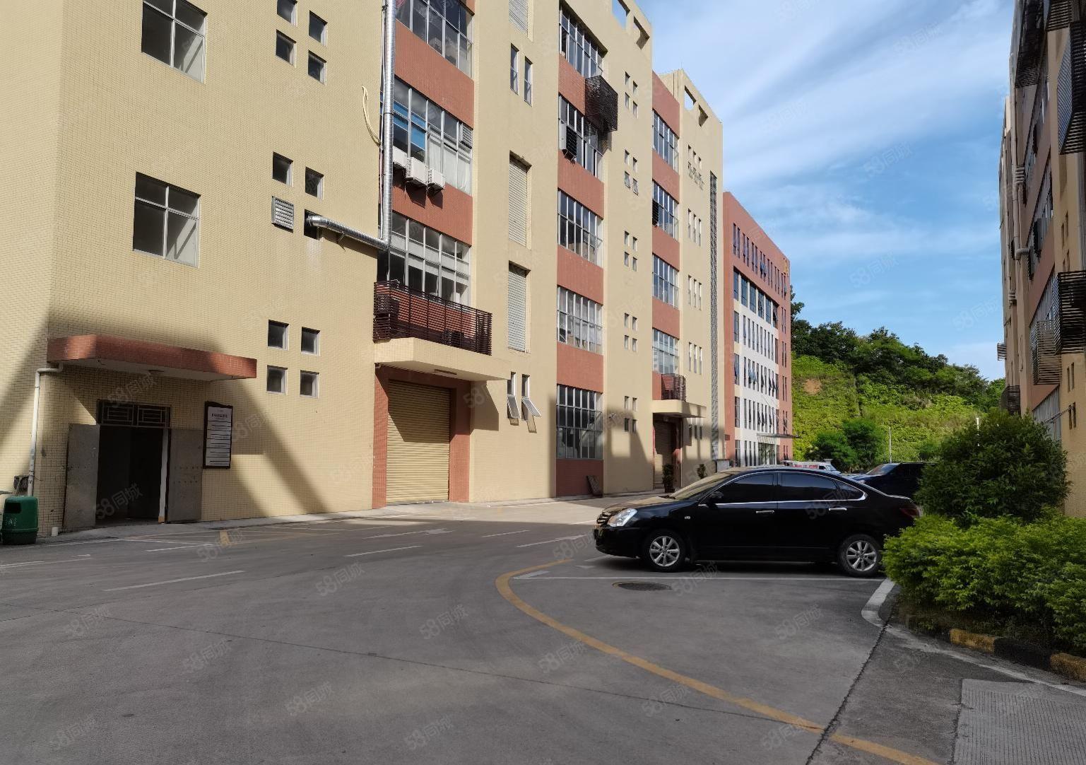 石岩塘头300平至3000平一楼仓库办公室厂房出租分租转租