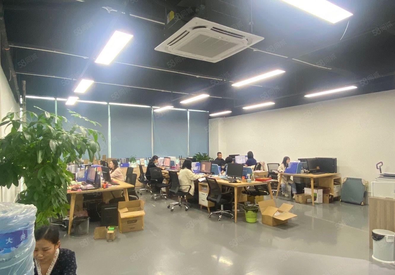 南山白芒高速口1400平方精装修红本仓库厂房出租