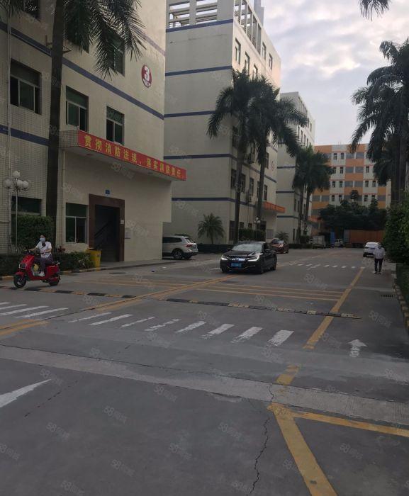 八卦岭科技园200平400平600平1000平厂房出租