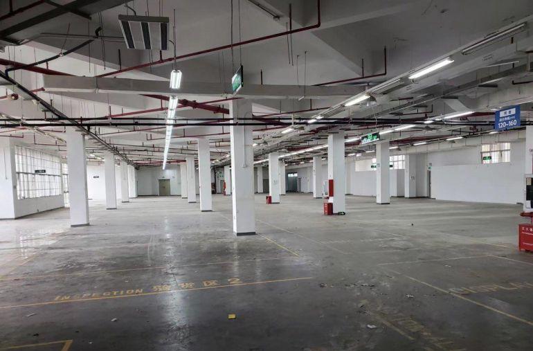 【物业直租前海大小南山片区】厂房/仓库/办公