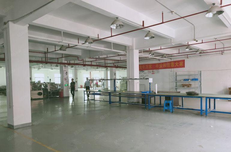 观澜福民龙观快线新出单层面积2800平米租24元