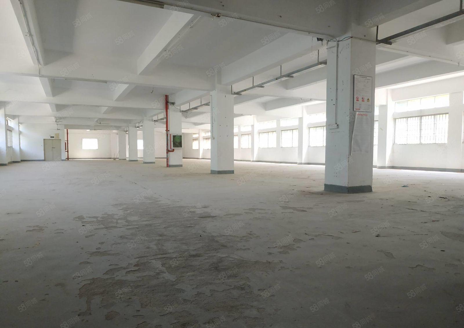 南山西丽 大磡工业区新出1500平厂房直租 带卸货平台