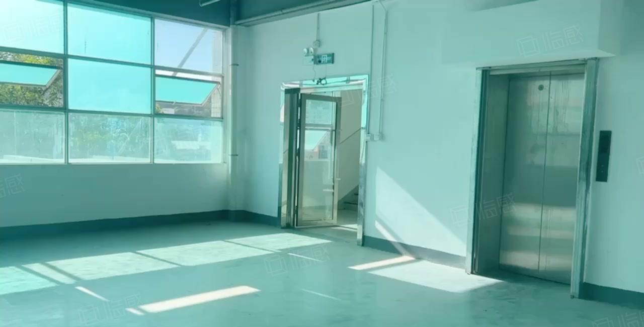 一手直租南山西丽百旺大型工业区 2000平 方正采光好