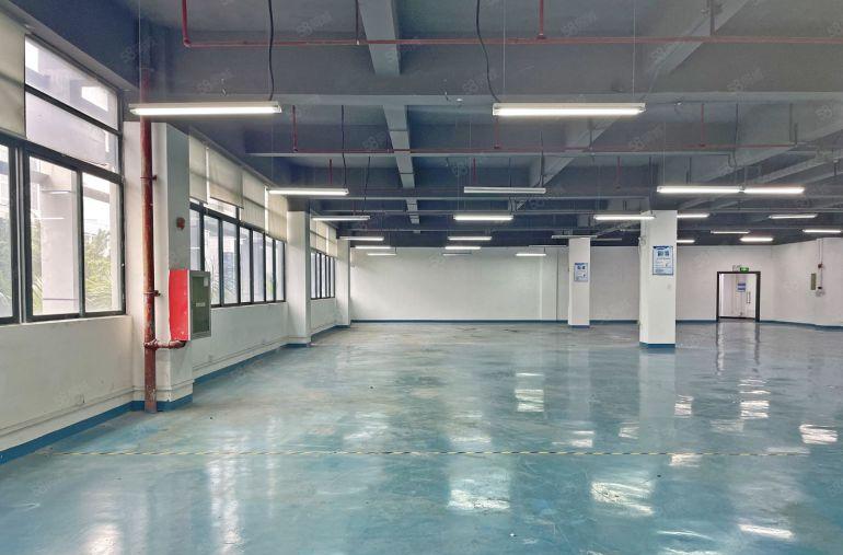 西丽百旺信工业园精装整层2780平可分租