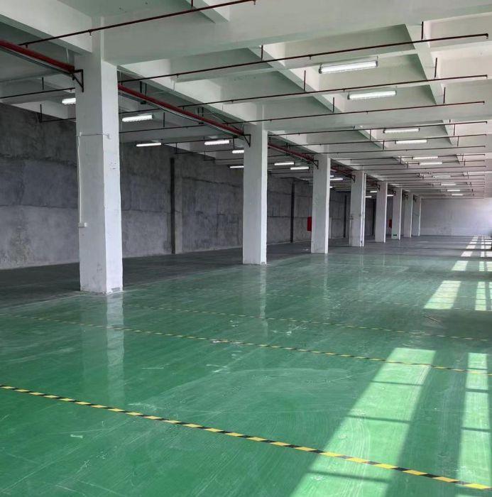 原房东直租公明楼村厂房1680㎡，高5.5米，配3吨货梯