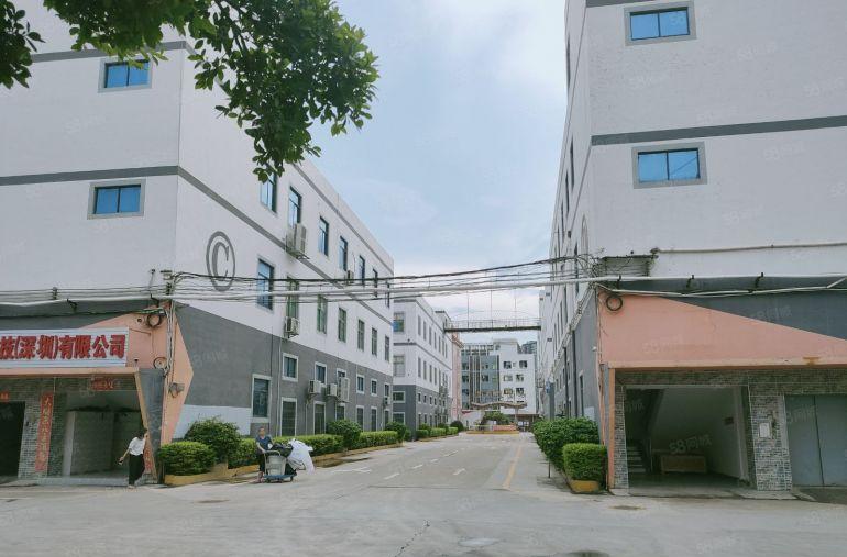 观澜福民龙观快线新出单层面积2800平米租24元