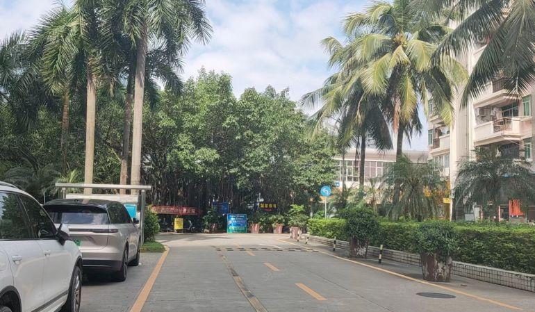 南山华侨城工业区厂房出租200至4200平可分租业主直租