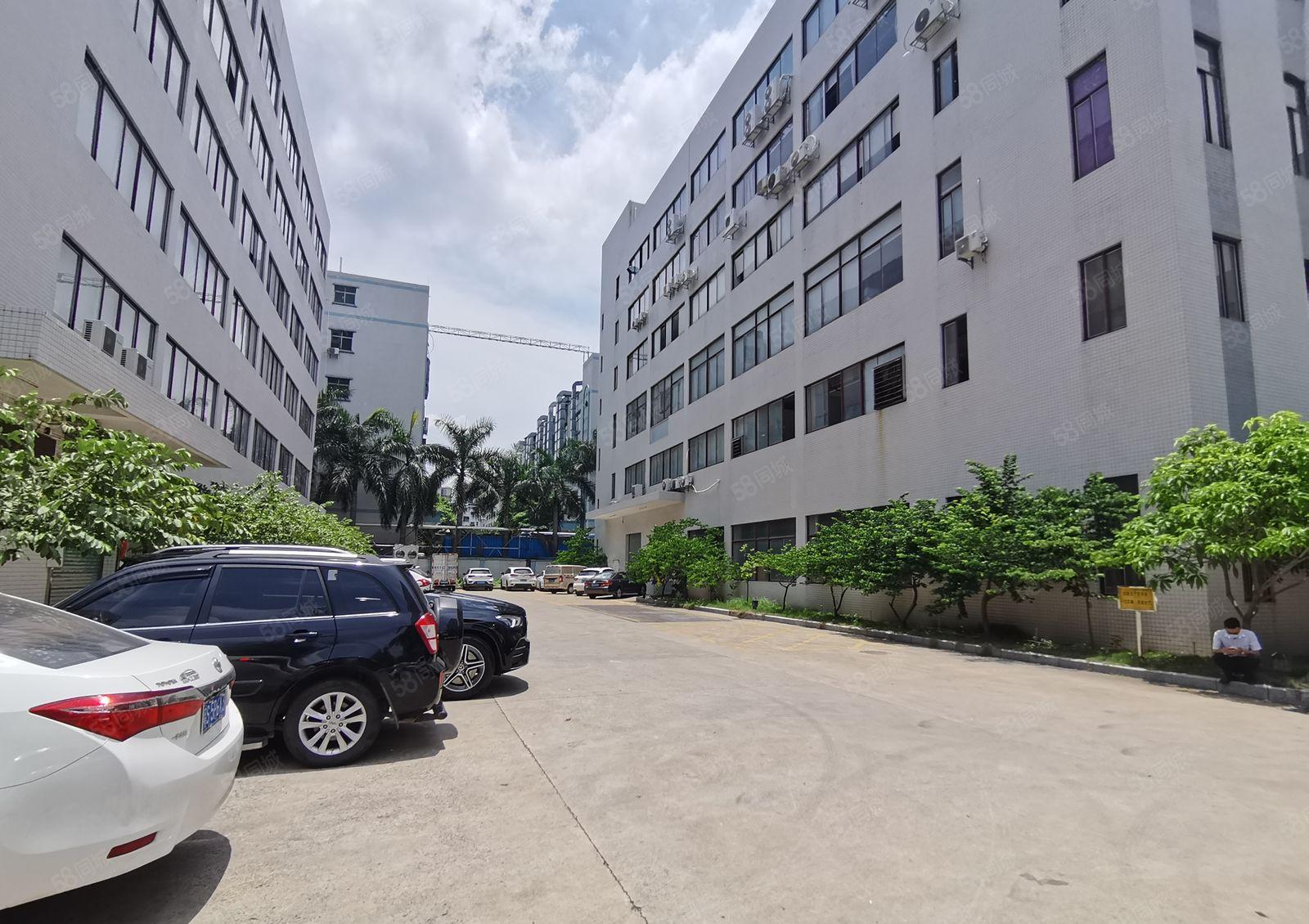 光明12000高新补贴厂 房出租，免租半年1000平起