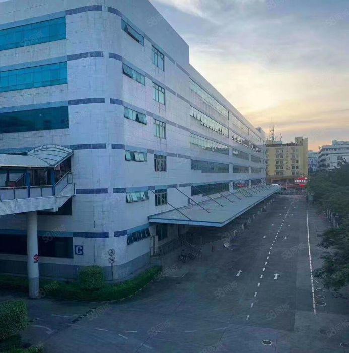 南山西丽高薪智能产业园200，500平双面采光，使用率高