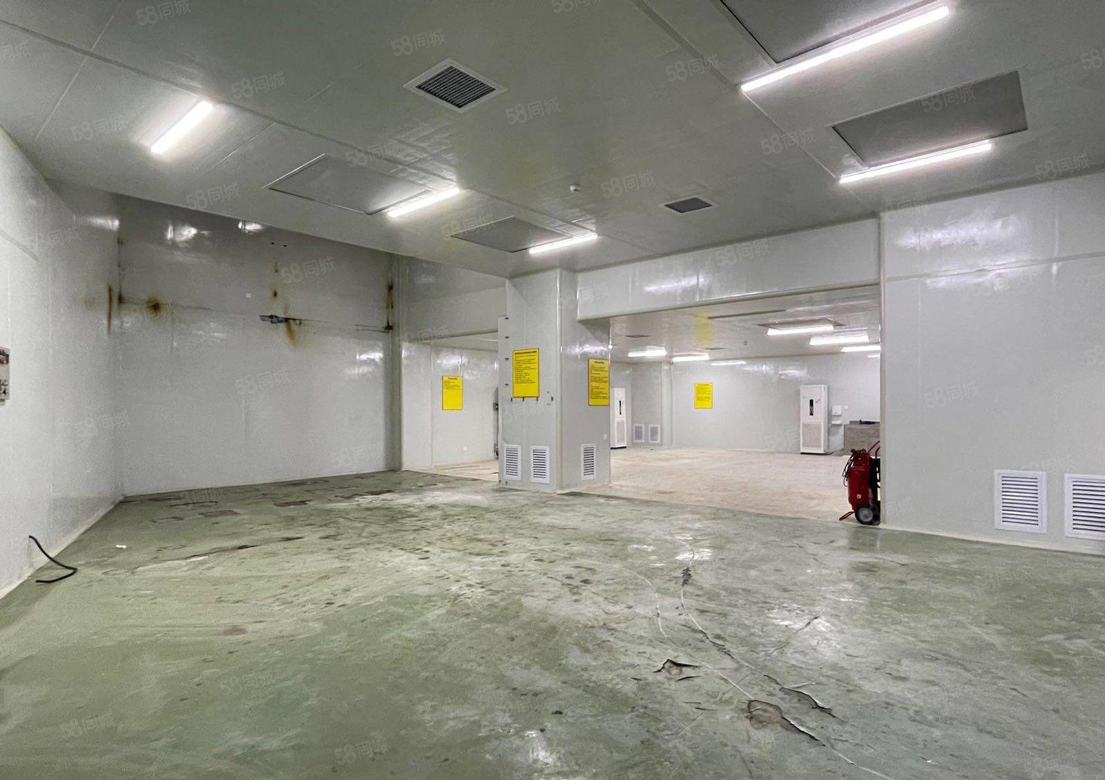 （）十万级无尘车间一楼1400平米出租