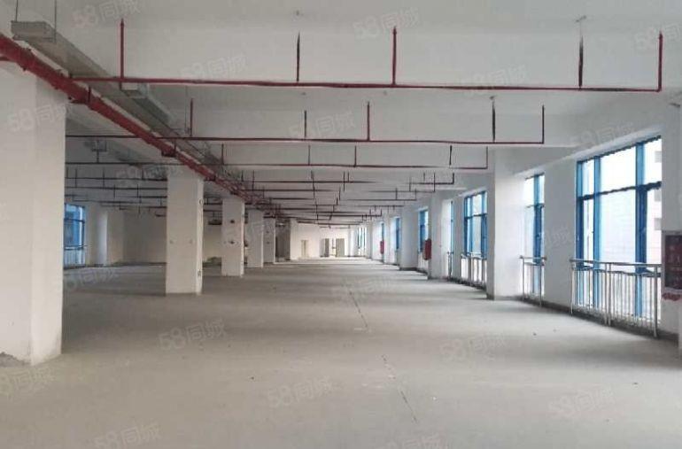 10元起租独立厂房3500平米出租，可分租