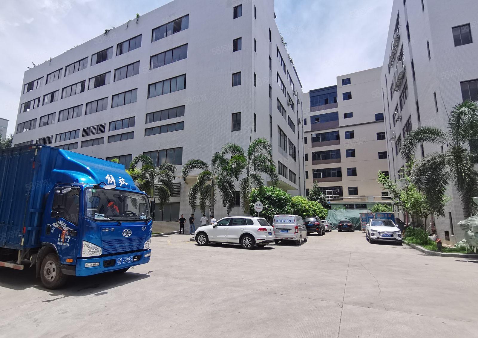 光明12000高新补贴厂 房出租，免租半年1000平起