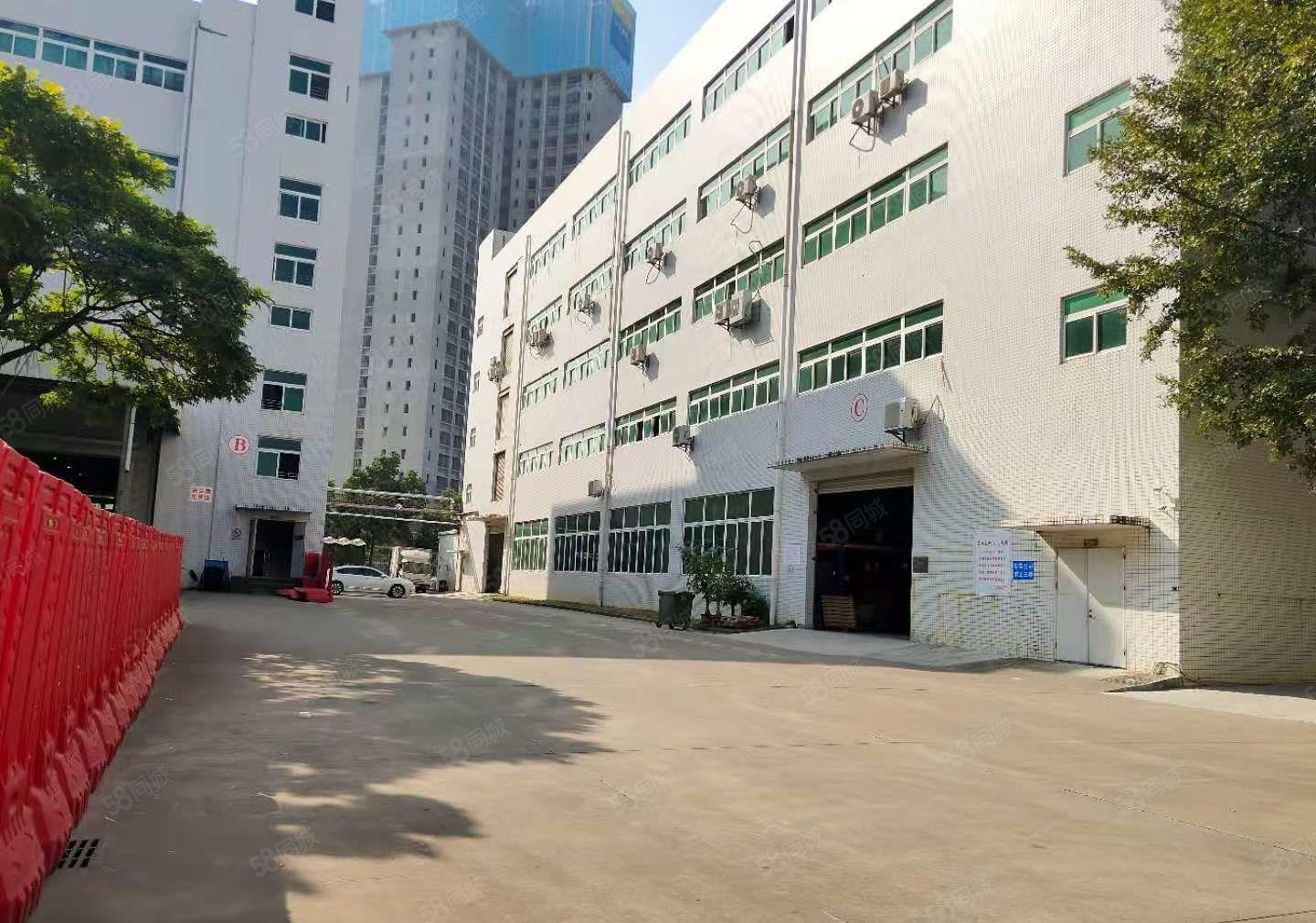 塘厦外环高速出口原房东红本2楼3000平方厂房出租大小可分