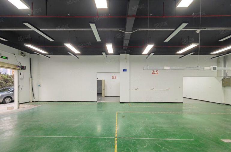 西丽一楼层高5米 三相电 研发办公 展厅 电商 科技 培训