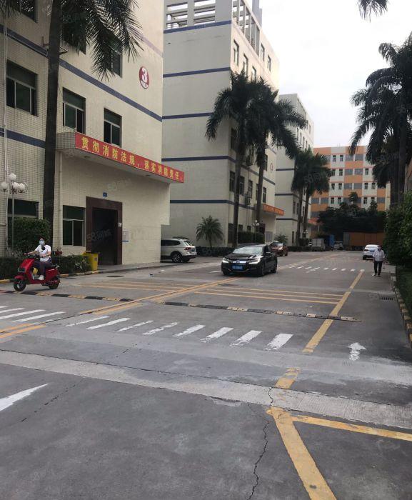 八卦岭科技园200平400平600平1000平厂房出租