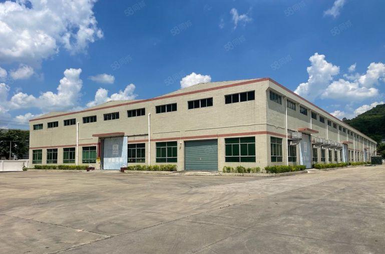 临深原房东独门独院10米高10000平单一层厂房低价出租