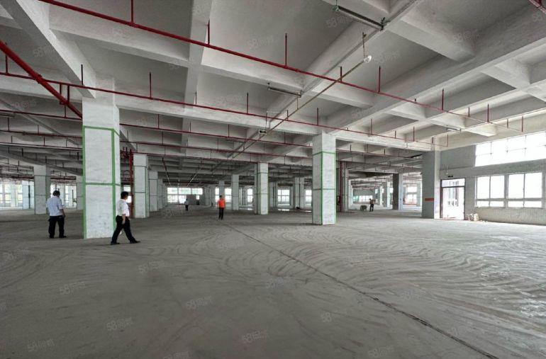 龙华元芬原房东红本厂房仓库办公室出租空地大好停可分租