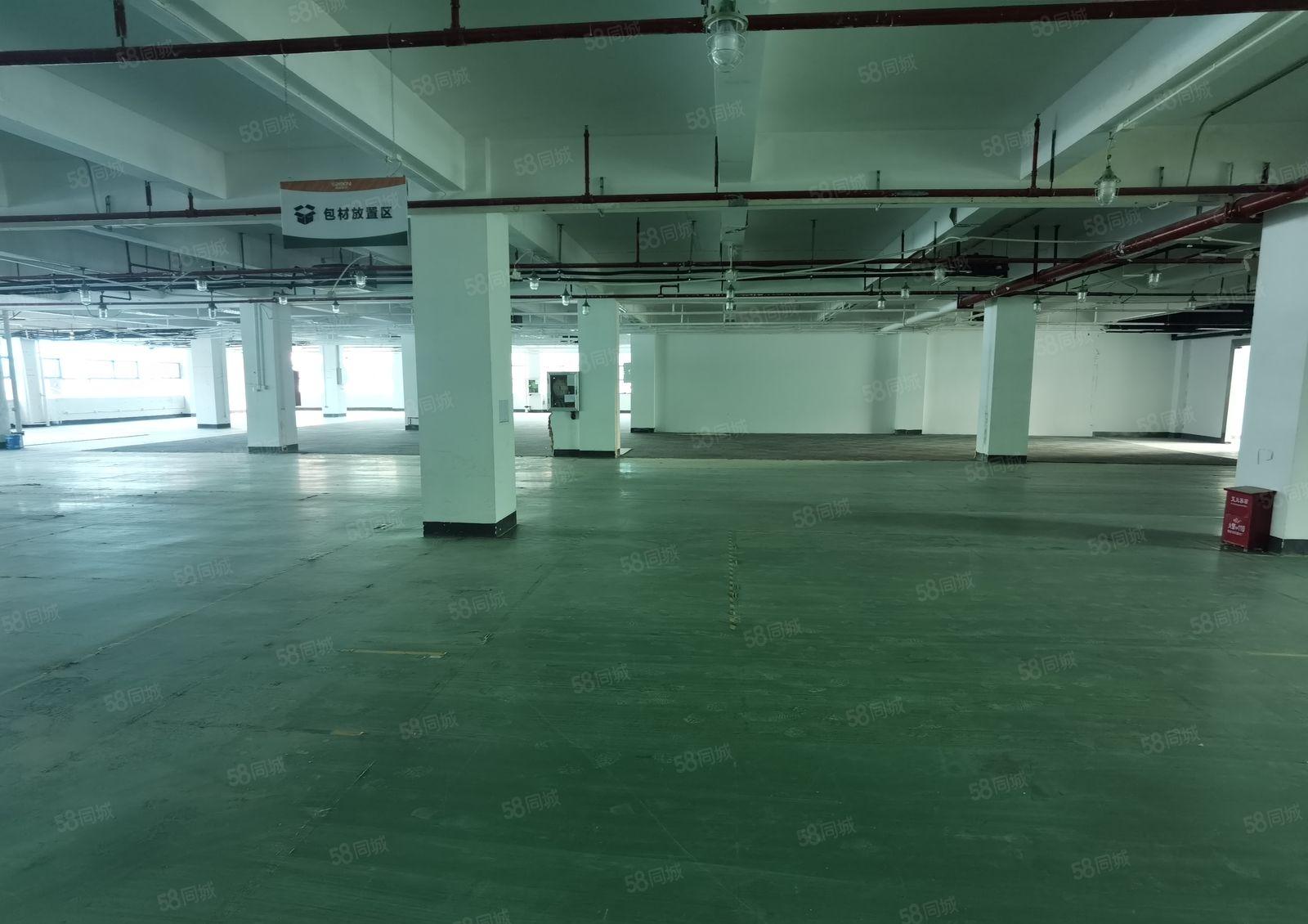 南山西丽新出整层带消防喷淋厂房2124平