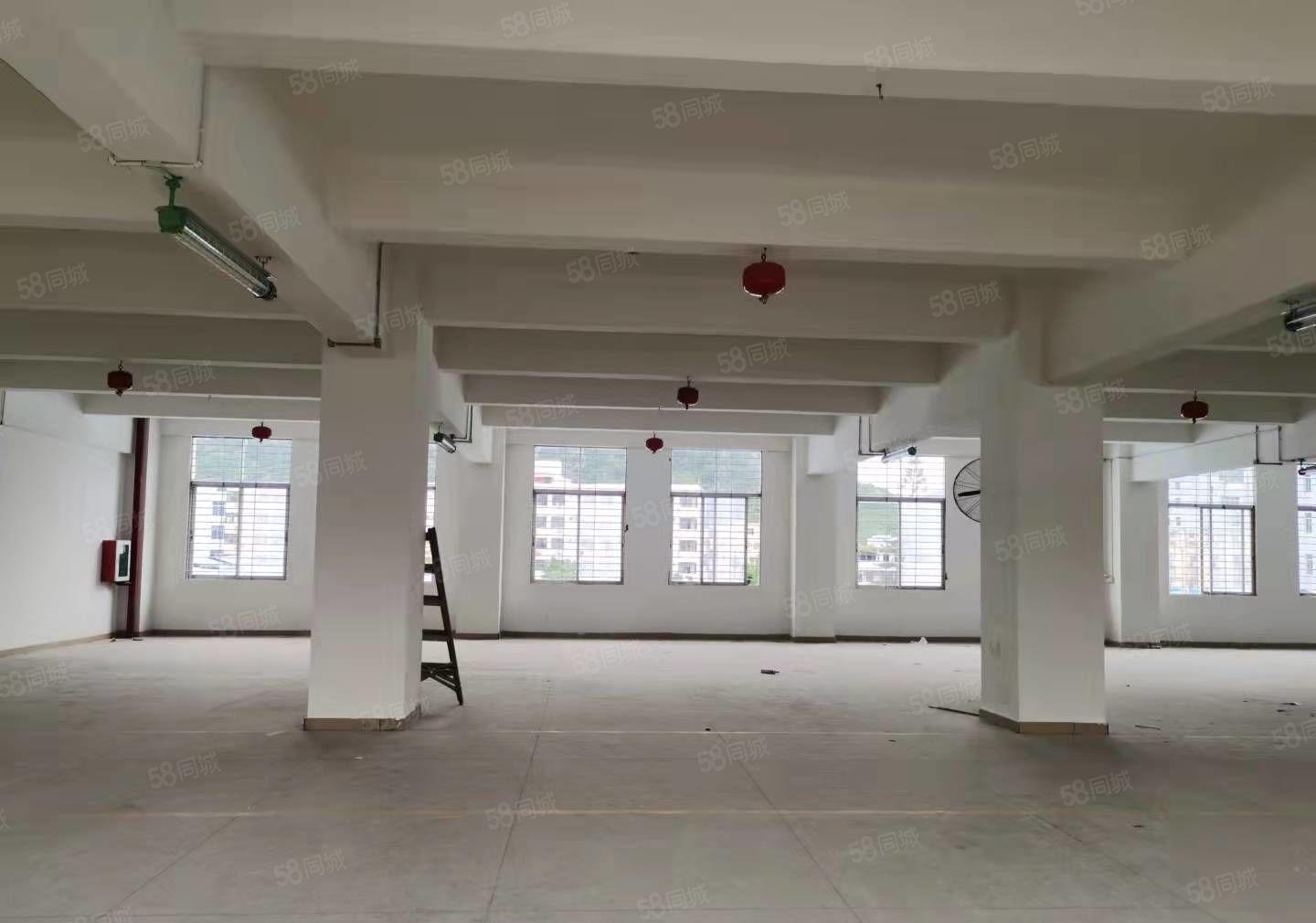 原房东独门独院每层1716平可分租，加工仓储办公等价格好谈