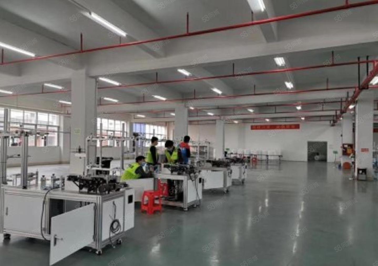 西丽大学城1000平（200平起分）精装修办公室仓库厂房出租