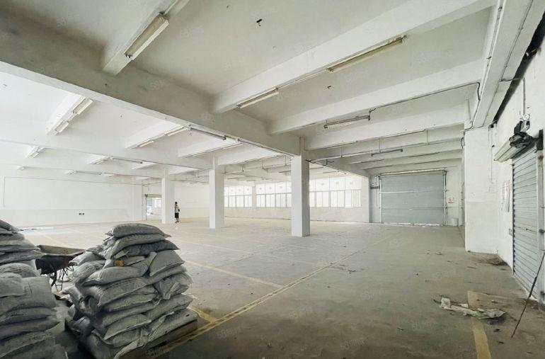 南头一楼红本厂房1180平方 汽修 仓库 快递 配送 等其他