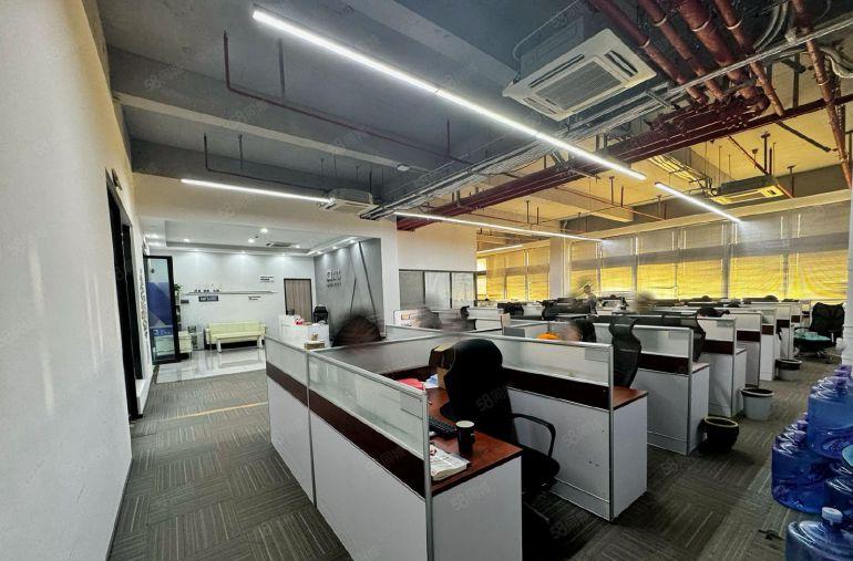 前海妈湾地铁口精装独栋360至1600平  一手使用率直租