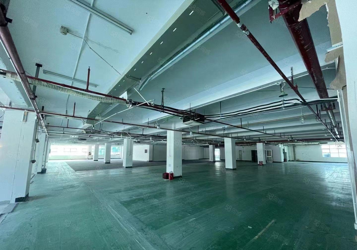 （新盘）西丽高新园区整层厂房可租分租