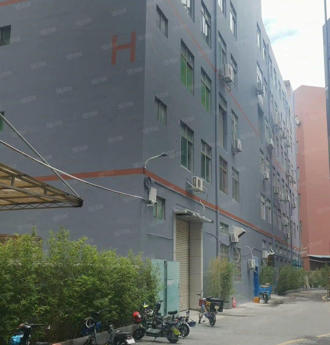 南山西丽地铁站（原房东直租）厂房160至300平新装修