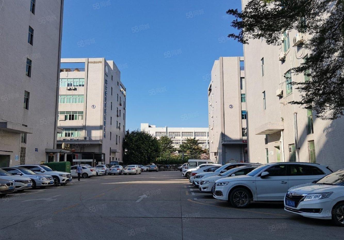 公明原房东高新园区在红本厂房独栋一楼一整层1800平方