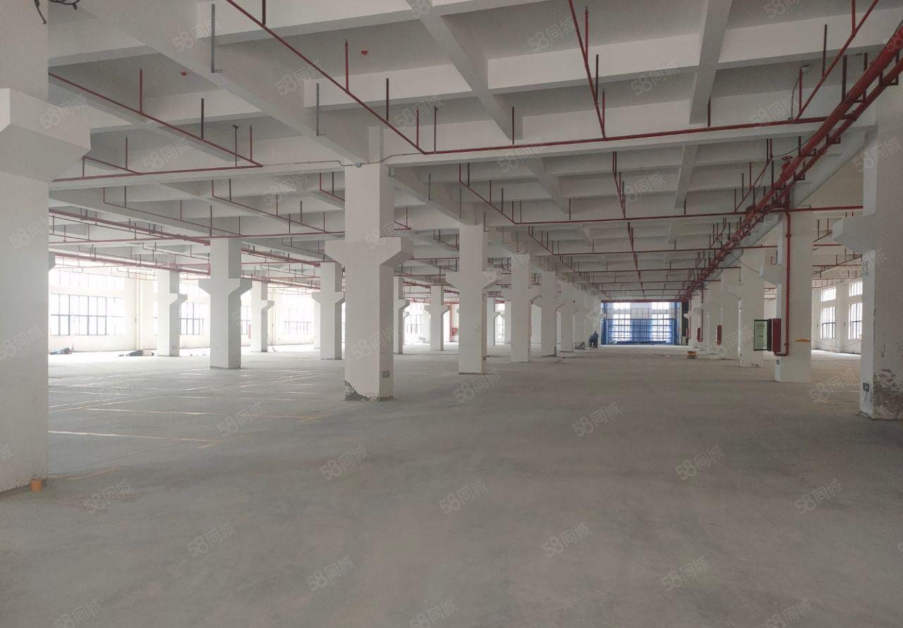 临深塘厦桥头黄江10T货梯3万平全新工业园区招租