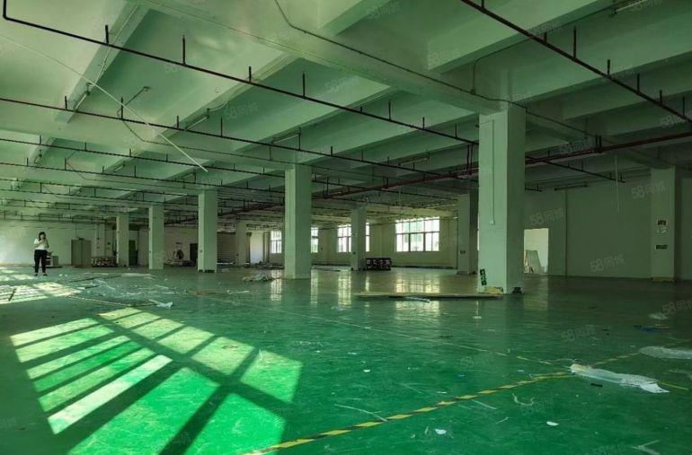 南山西丽工业区新出1000平标准厂房出租仓库招租大小面积可租