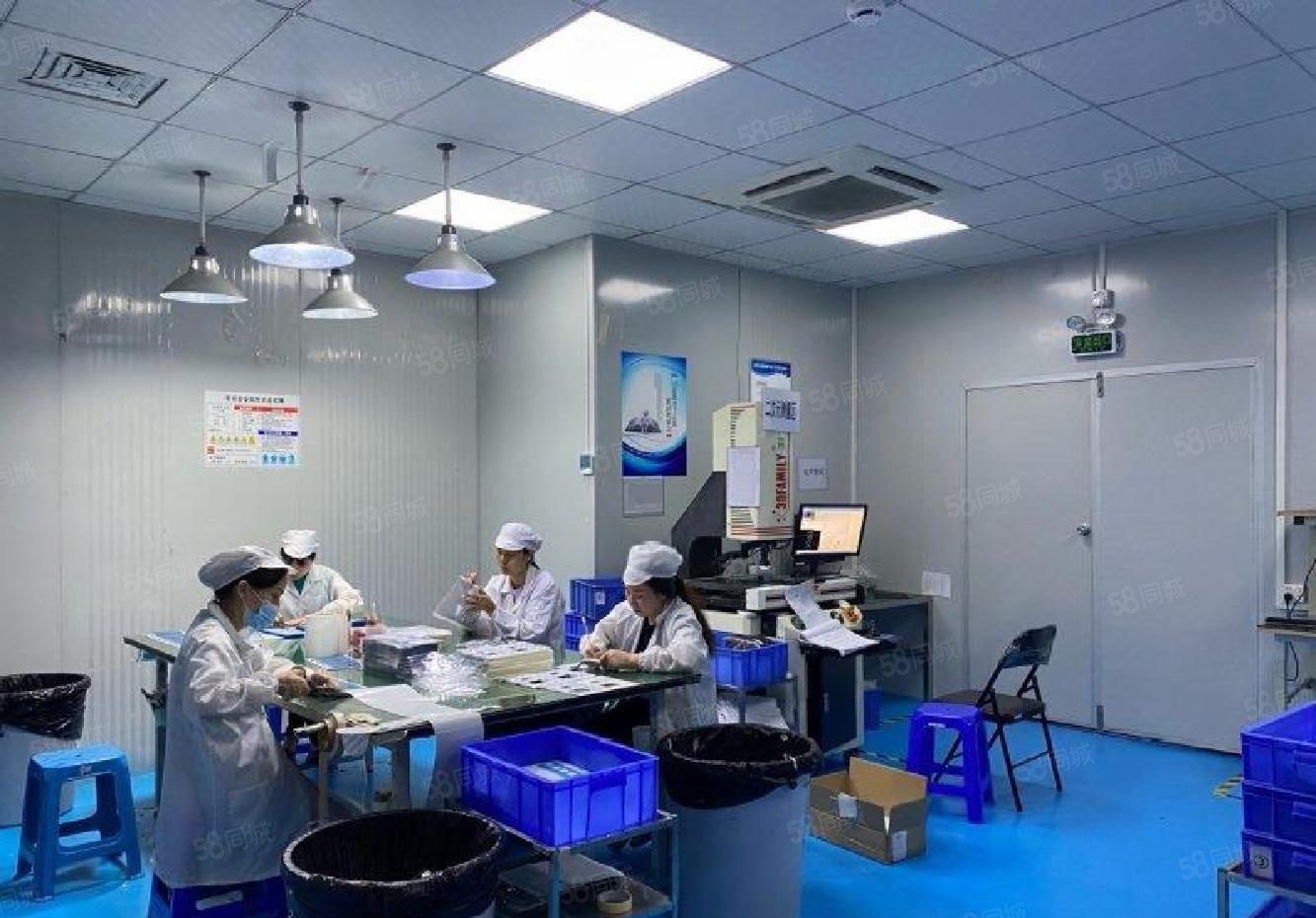 西丽原房东精装修600平办公室红本厂房出租分租仓库带无尘车间