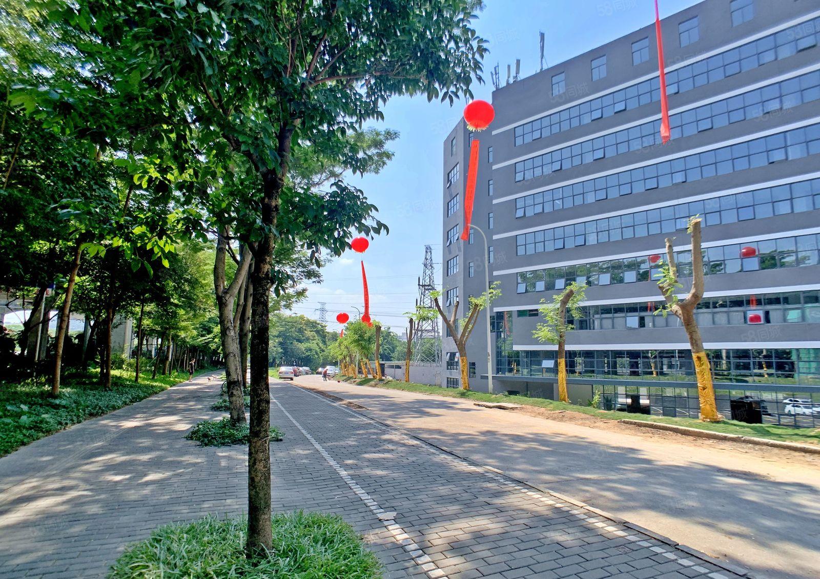 西丽留仙洞 新出643平方精装 特价3W 含管理费