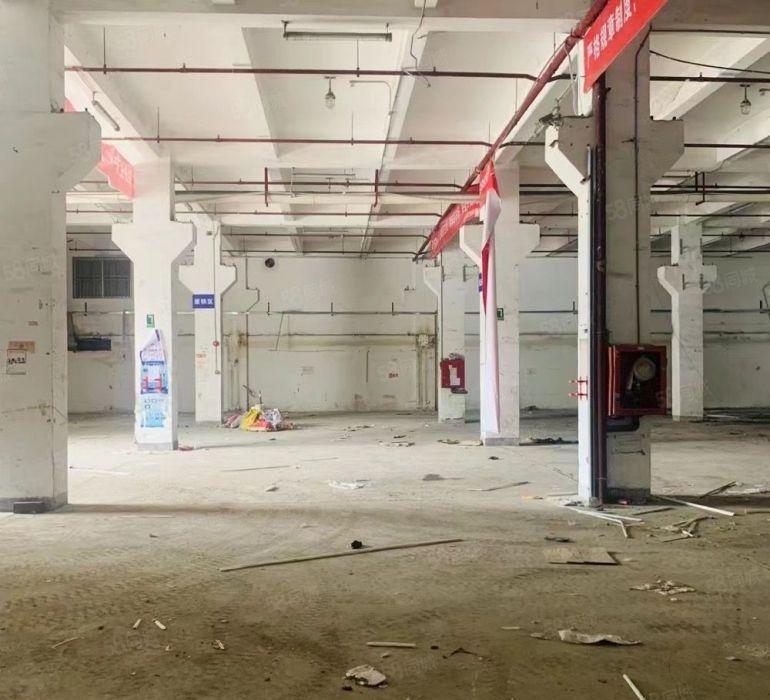 南山蛇口一楼带后花园可配送中央厨房再生资源收废品等不限行业