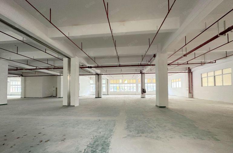 福田八卦岭产业园一楼5米高2400平厂房写字楼仓库出租可分租