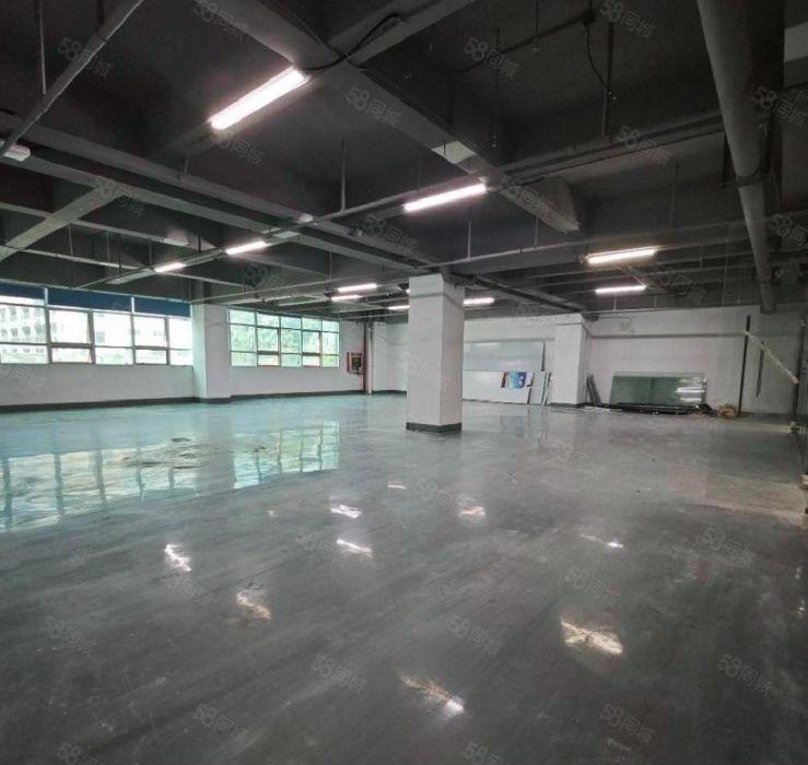 租金32元 面积500平至2千平 南山西丽白芒 百旺阳光厂房